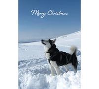 Husky in the Snow Christmas Greetings Card 125mm x 178mm Including Envelope GC496