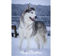 Husky in the Snow Pack of 10 Merry Christmas Greeting Cards 125mm x 178mm - Including Envelopes - GC677PCK10