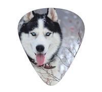 Husky In Winter,12 Pcs Guitar Pick,3 Different Thickness Plectrums for Acoustic Guitar Bass Ukulele (0.46mm 0.96mm 0.71mm)