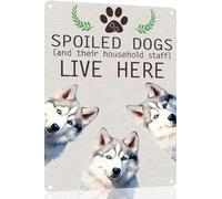 Husky Metal Sign Spoiled Dog Lives Here Vintage Metal Tin Signs Novelty Dog Sign Coffee Bar Pub Farmhouse Country Home Decor for Dog Lover 8x12 Inch