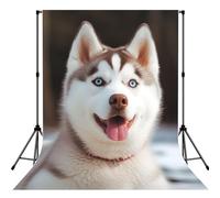Husky Piquant Dog Backdrop for Photography,5 x 7 ft Fabric Background Photo Backdrop Curtain Drapes Screen Collapsible Seamless Photoshoot Props for Portraits Party Video Studio