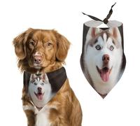 Husky Piquant Dog Dog Bandana Triangle Dog Scarf Washable Polyester Dog Bibs Cute Pet Bandana for Medium Large Dogs Puppy and Cats