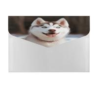 Husky Piquant Dog File Folder with Snap&6 Pockets Reusable File Organizer Portable Document Paper Bill Receipt Organizer Plastic Envelopes for Office College Letter Size