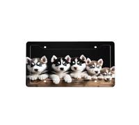 Husky Puppies Dogs -Print Four-Hole License Plate Holder With Custom Designs - Weather Resistant & Easy Fit For Front/Rear Vehicles