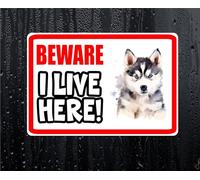 Husky Sticker Beware I Live HERE House Home Window Door Porch Printed Decal