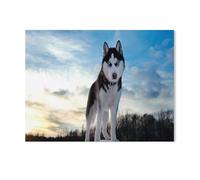 Husky under the sky，Jigsaw Puzzles Puzzles for Adults Kids. 1000 Piece Whimsical Challenge Toy Educational Games Home Decoration for Adults& Kids Age 14 Years Up（50x70cm）-R59