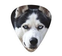 Husky's Handsome Face Dog Funny,12 Pcs Guitar Pick,3 Different Thickness Plectrums for Acoustic Guitar Bass Ukulele (0.46mm 0.96mm 0.71mm)