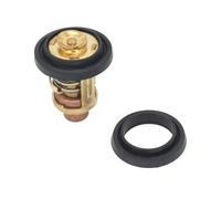 HUTJWYN Thermostat Fit forYMH 4 Stroke Outboard Motor 6G8 12411 00 00 66M 12411 01 00