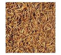 Hutton Mill Dried Mealworms for Garden Birds - Wild Bird Food - Size: 2kg