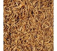 Hutton Mill Mealworms - 1KG