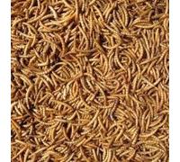 Hutton Mill Mealworms - 2KG