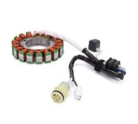 HUVNEXA Generator Stator Coil, for Supermarch Excalibur 700 700cc UTV Menards Yardsport YS700 Bennche Bighorn Cowboy Gray Wolf 500 700 Motorcycle Ignition Coil