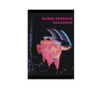HUWERYW Black Sabbath Album Paranoid Poster Beautiful Canvas Wall Art Decoration Room Canvas Art Room Bedroom Decoration 12x18inch(30x45cm) Unframe-style