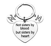 Huwujiu Best Friend Keyring Friendship Gifts for Women Not Sisters by Blood but Sisters by Heart Keyring Christmas Birthday Gifts Best Friend Gift for Women