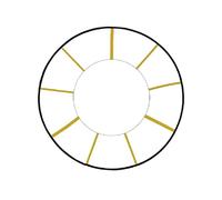huwvqci Reactive Agility Trainer, Circle Speed Ladder for High Intensity Reactive Drills and Skills, Exercise Ladder for Football Sports Fitness Training Ladder