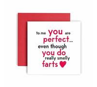 Huxters Anniversary Card - You are perfect although you fart Funny Card for Wife - Husband - Boyfriend - Girlfriend - 350GSM Valentines Day Card - Blank for Custom Message - 14.8cm (fart)