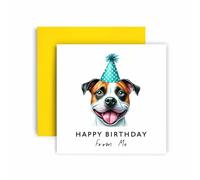 Huxters Birthday Card from the Dog - American Staffordshire Terrier - Happy Birthday to Dog Mum and Dog Dad - Birthday Card from the Dog to Friends Family First Birthday (American Staff Terrier)