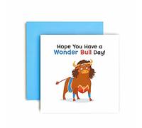 Huxters Birthday Cards for Her- Have a Wonder Bull Happy Birthday Funny Birthday Card for Women Friend - Funny Birthday Day Card for Best Friend Fun Happy Birthday - 14.8cm (Friend)