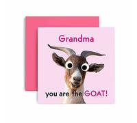 Huxters Birthday Cards for Women - You're the GOAT Grandma Happy Birthday Card for Birthday, Mother’s Day - Grandma Birthday Card with Lovely Pink Envelope - Funny Birthday Card (Grandma)