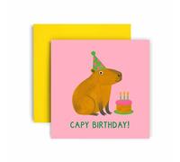 Huxters Capy Birthday Card - Cute Capybara with Party Hat & Cake - Fun Animal Greeting for Daughter, Sister, Friend, Bestie, Niece, Auntie, Mum - Pink Card with Yellow Envelope (Birthday)