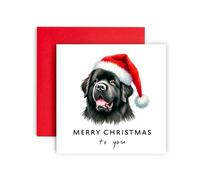 Huxters Dog Christmas Card - Newfoundland - Merry Christmas to Dog Mum and Dog Dad - Christmas Card from the Dog to Friends Family First Christmas (Newfoundland)
