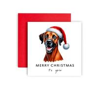 Huxters Dog Christmas Card - Rhodesian Ridgeback - Merry Christmas to Dog Mum and Dog Dad - Christmas Card from the Dog to Friends Family First Christmas (Rhodesian Ridgeback)