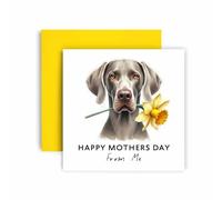 Huxters Mother's Day card form the Dog - Weimaraner - Mum Love to Dog Mum Mummy - Dog Best Faithful Friend Love Mum (Weimaraner)