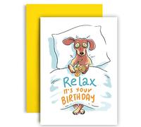 Huxters ‘Relax, It’s Your Birthday’ Humourous A5 Illustrated Dog Slogan Card - Fun Gift for Him or Her - Recyclable Paper with Envelope - Greetings Card, FSC Certified and Sustainable