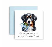Huxters Sorry for Loss of Dog - Bernese Mountain Dog - Condolences to Dog Mum and Dog Dad - Dog Best Faithful Friend Deepest Sympathy (Bernese Mountain Dog)
