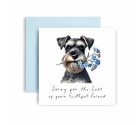 Huxters Sorry for Loss of Dog - Miniature Schnauzer - Condolences to Dog Mum and Dog Dad - Dog Best Faithful Friend Deepest Sympathy (Miniature Schnauzer)