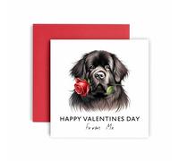 Huxters Valentines Card from the Dog - Newfoundland - Happy Valentines to Dog Mum and Dog Dad - Dog Best Friend (Newfoundland)