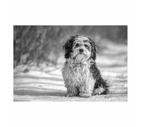 HUYEEI Animal Dog Canvas Wall Art snows-Treading Hound posters & prints, Suitable for Living Room Bathroom Bedroom Home Wall Decoration(black and white12)-20x30cm Unframed