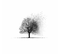 HUYEEI Black And White Minimalist Canvas Wall Flock of birds in a tree wall art prints, For Living Room Bedroom office Home Wall Decor(black and white81)-70x100cm Unframed