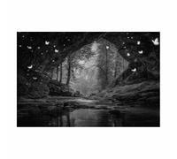 HUYEEI Black And White Prints Dry Cave and Butterflys Creek paintings wall art, posters & prints, For, for Gifts Bathroom Living Room Home Office Decor Room etc(black and white147)-20x30cm Unframed