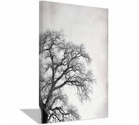 HUYEEI Black White Abstract Art Canvas Paintings Dead Tree Branch Grey Neutral Wall Art for Living Room, For Bathroom Hallway, bedroom etc.(Black and white)-60x80cm Framed