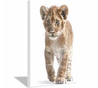 HUYEEI Canvas Print Wall Art Lions cub walks Abstract Animal Paintings, Suitable for living room, bedroom, for Kids Room Decoretc.(brown16)-60x90cm Framed