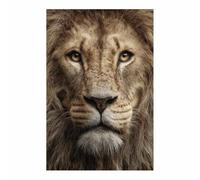 HUYEEI Canvas Wall Art Lions Closer Views Picture Wildlife Painting, Animal Canvas Artwork Modern Home for living room, bathroom, etc.(brown177)-70x100cm Unframed