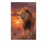 HUYEEI Canvas Wall Art Prairie Lions Picture Wildlife Painting, Animal Canvas Artwork Modern Home for living room, bathroom, etc.(brown142)-40x60cm Unframed