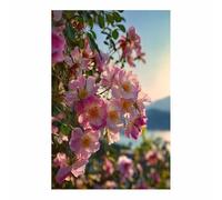 HUYEEI Canvas Wall Art Rosa rugosa canvas art, canvas painting wall art pictures, For Farmhouse, Office, Gallery, Kitchen.(pink153)-60x90cm Unframed