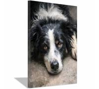HUYEEI Dog Canvas Wall Art Border Collie lying art prints and posters, Suitable for Living Room Bedroom Decor Kid's Room Wall Decoration(black183)-70x100cm Framed