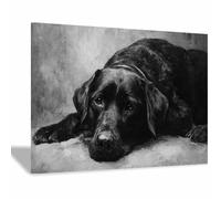 HUYEEI Dog Pictures For Wall Dogs lying prone art prints and posters, Suitable for Living Room Bedroom Decor Kid's Room Wall Decoration(black185)-40x60cm Framed