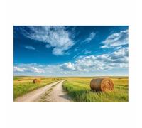 HUYEEI Landscape Wall Art Grass-rolling Roads Modern Canvas Print On Artwork, Suitable for living room, bedroom, for Kids Room Decoretc.(blue)-60x80cm Unframed