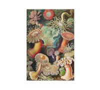 HUYNHTY Ernst Haeckel Sea Anemones Canvas Poster Wall Art Print Picture Paintings 20x30inch(50x75cm)