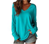 HUYTERTDR Women's T-Shirts Plain Long Sleeve V-Neck Tunic Tops Casual Lightweight Womens T Shirts Soft Pullover Ladies Oversized Tshirt Basic Jumpers Baggy Tees Sky Blue