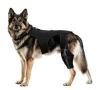 HVASZE Dog Knee Brace with Built-in Support Strips, Adjustable Hind Leg Joint Support, Reflective, for Small, Medium and Large Breeds (XXXL)