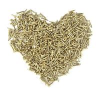 HVDHYY 500pcs 1.5 * 20mm Small Nails for Wood Golden Round Head Masonry Nail Picture Nails for Walls DIY Assorted Flat Head Nail