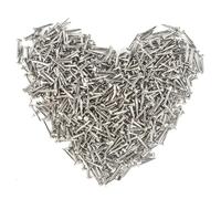 HVDHYY 500pcs 1.5 * 20mm Small Nails for Wood Silver Round Head Masonry Nail Picture Nails for Walls DIY Assorted Flat Head Nail