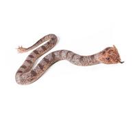 HVRFJXI Realistic Snake Toy Soft Rubber Figurine for Pranks and Keeping Birds Away in Gardens Practical Joke Props
