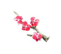 HVRFJXI Reptiles Branch Vine for Lizards Dragons Amphibian Pet Terrariums Climbing Plant