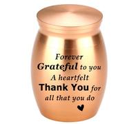 HVRFJXI Simple Casket Ashes Jar Vessel For Pet Urn Carving Memorial Small Jar Urn Container Container For Human